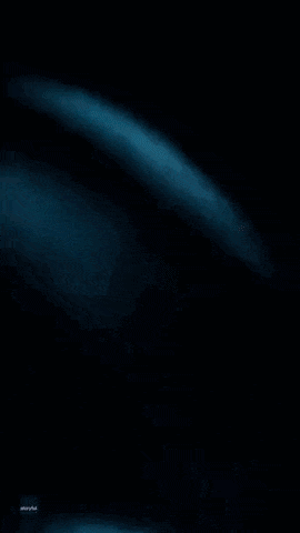 begin ID: An animated gif of a hand gently running through water at night, creating glowing, sparkling trails of blue bioluminescent plankton that illuminate with each movement. End ID.